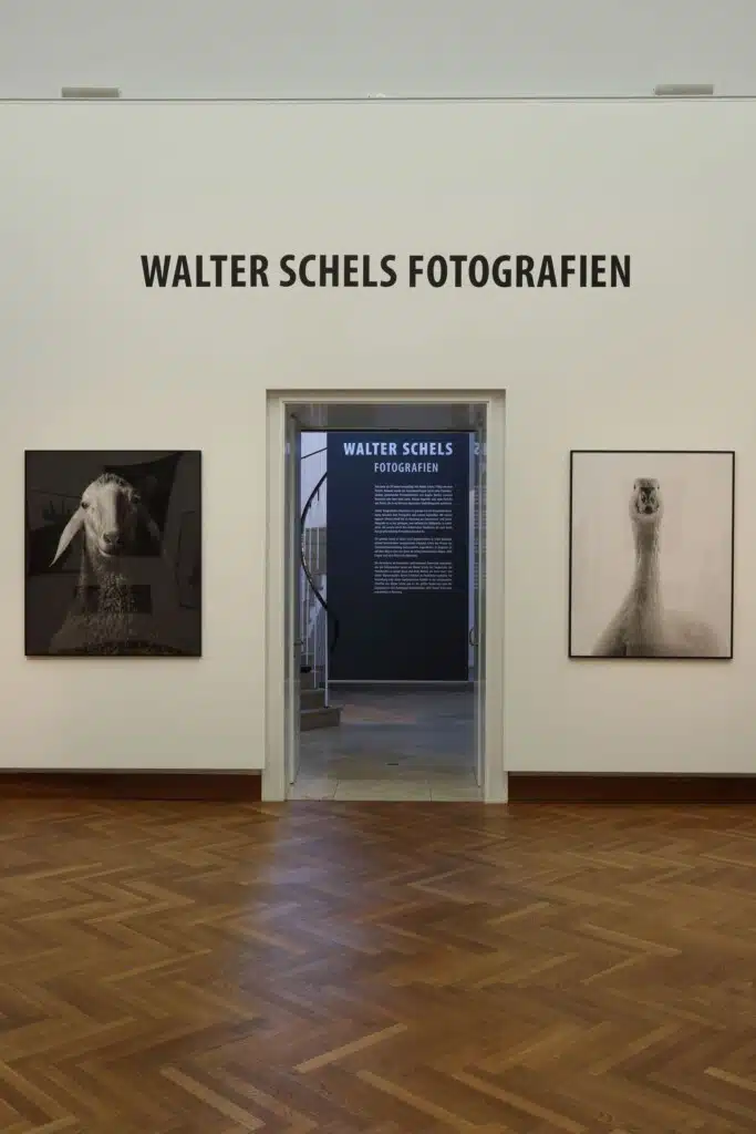 Walter Schels Dokumentation 20220906 8